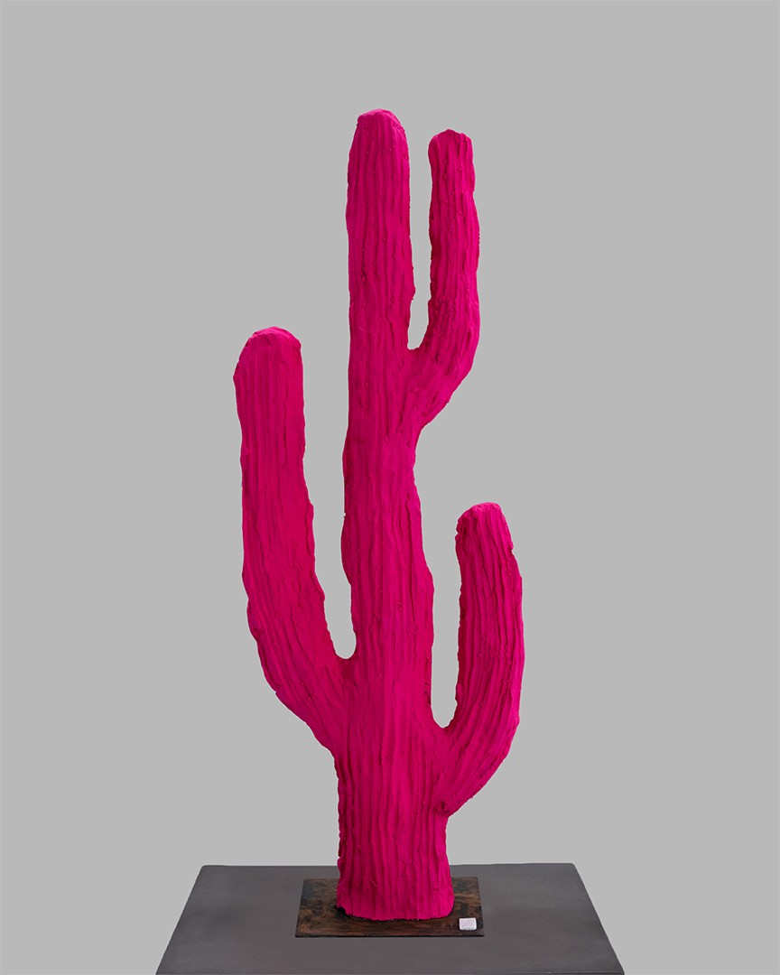 Story Of Life  | cactus mare | fuchsia neon |