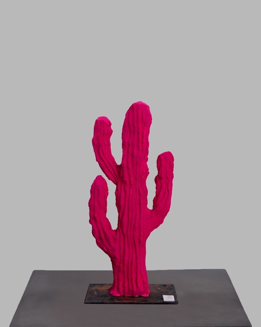 Story Of Life  | cactus mic | fuchsia neon |