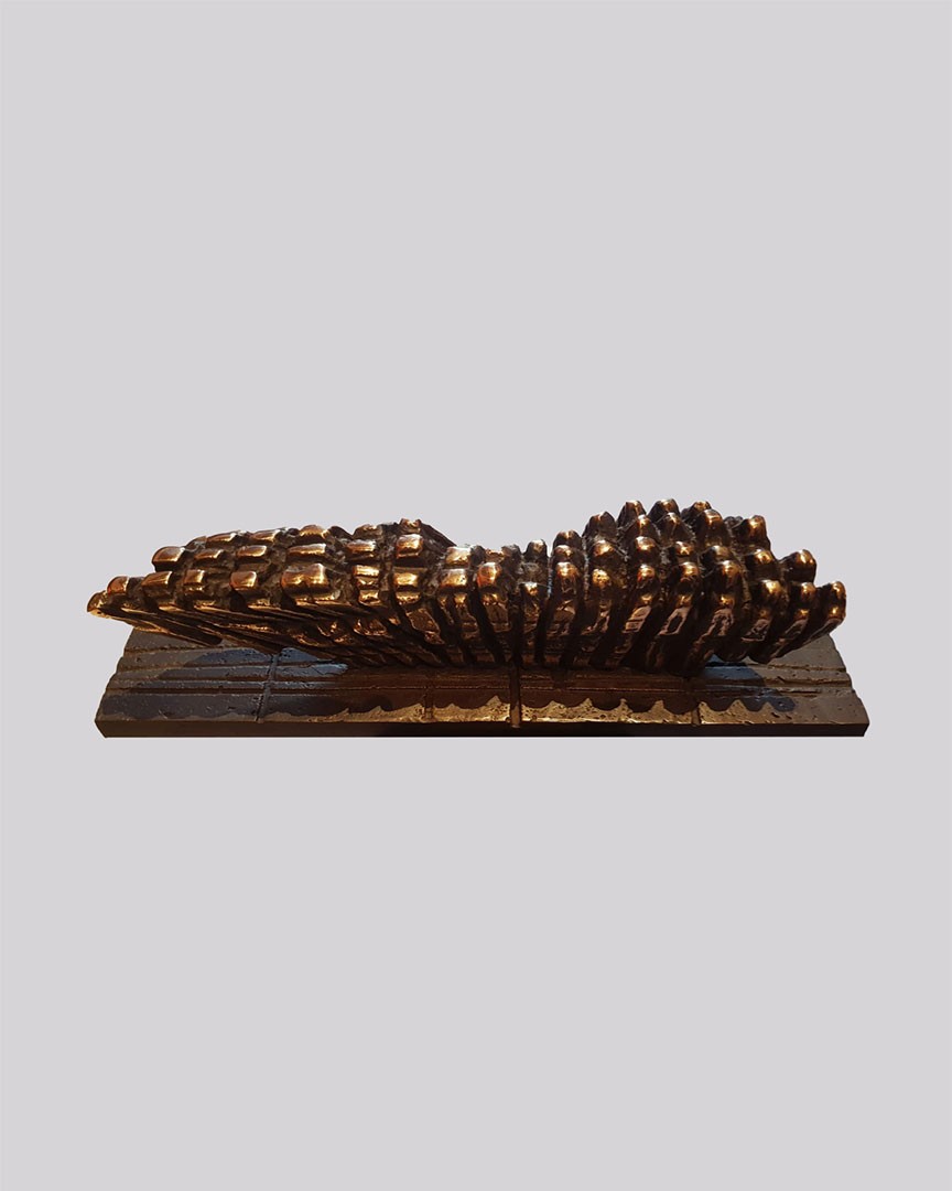 Transcendență bronz