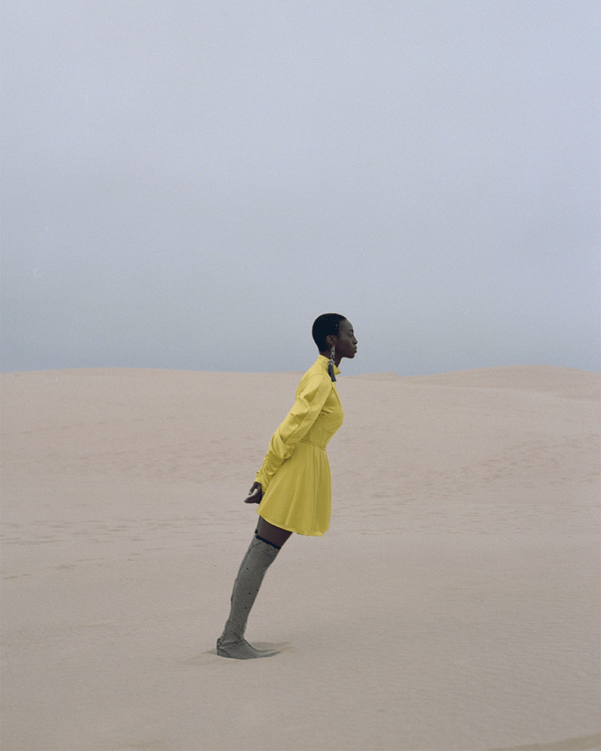 Among the Dunes