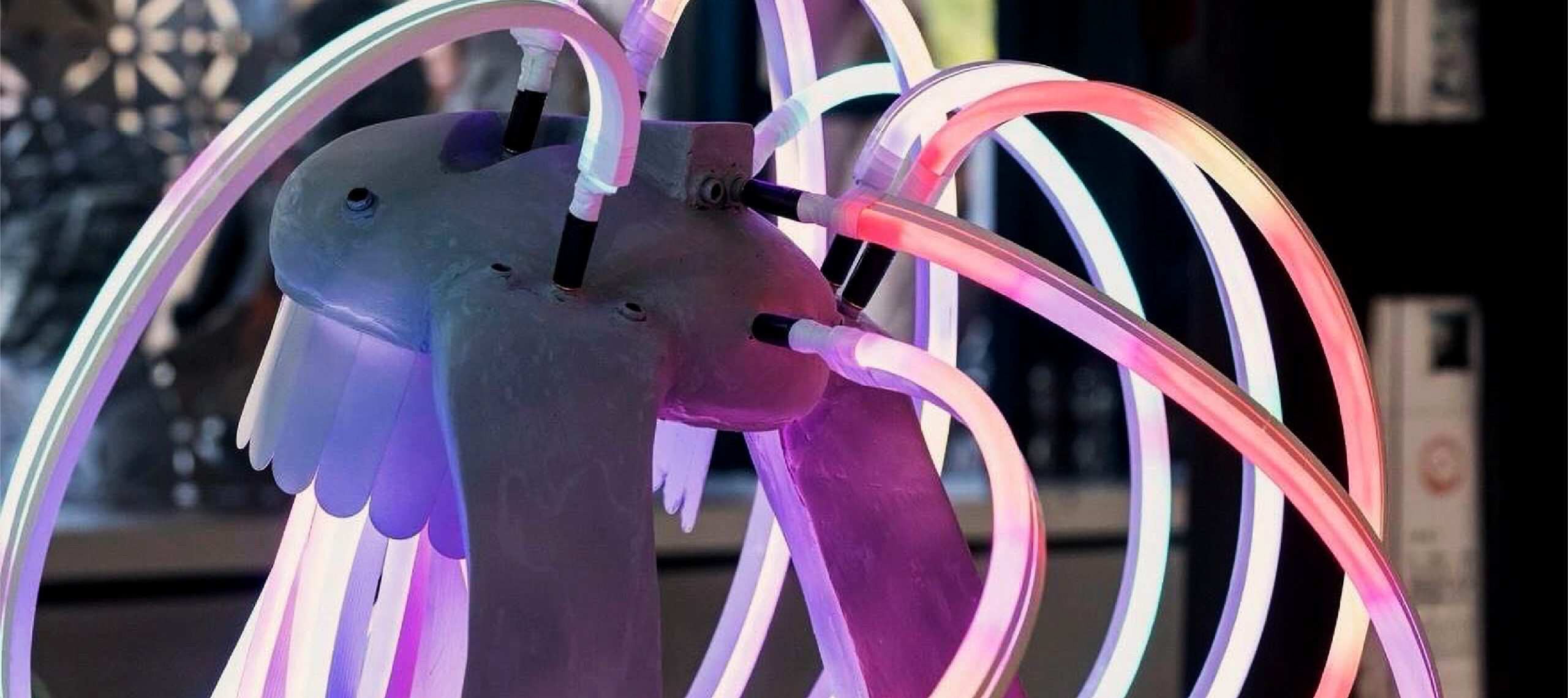 Comunitate / Neo Art Connect