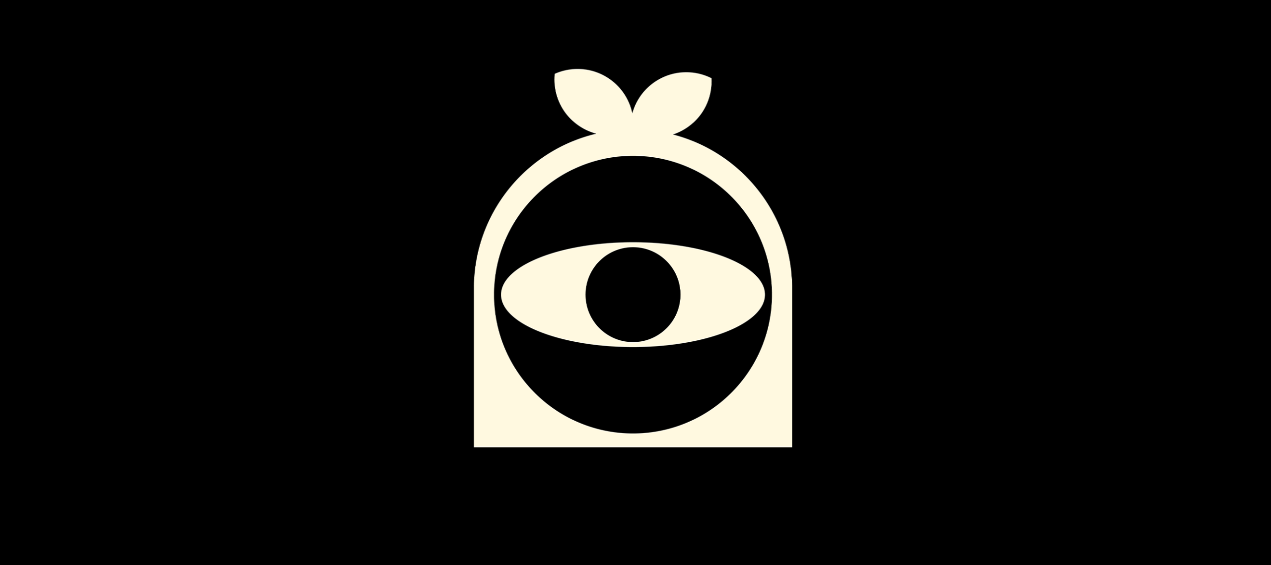 Boonica – The Future Of Surveillance